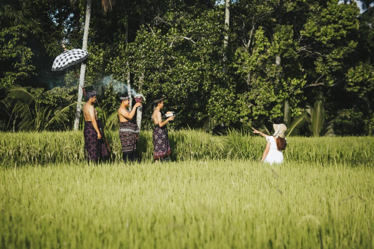 Sunshine Villas Ubud Extérieur photo